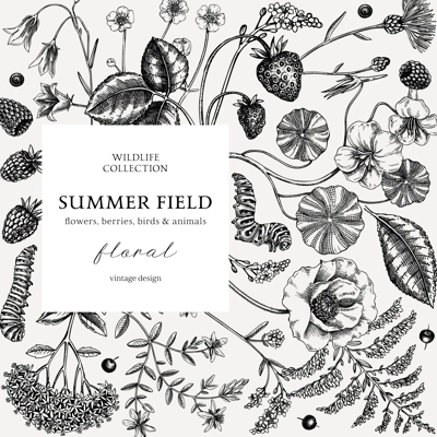 Sketched summer background. Floral frame design in vinatge style. Wildflowers botanical illustration. Hand-drawn field of flowers and insects for wedding invitation, decoration.
